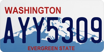 WA license plate AYY5309