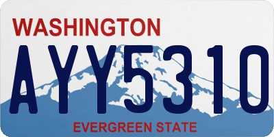 WA license plate AYY5310