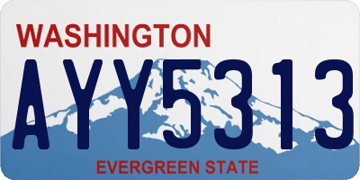 WA license plate AYY5313