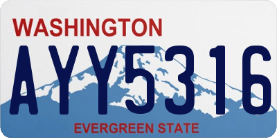 WA license plate AYY5316