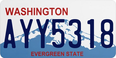 WA license plate AYY5318