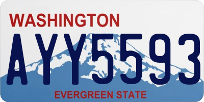 WA license plate AYY5593