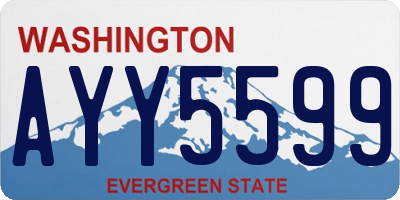 WA license plate AYY5599