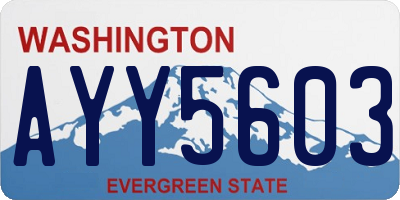 WA license plate AYY5603