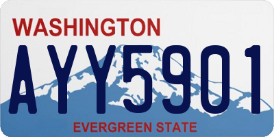 WA license plate AYY5901