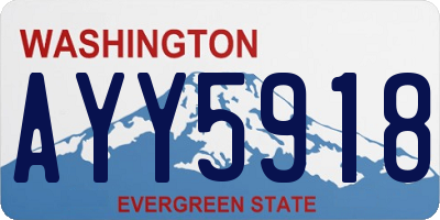 WA license plate AYY5918