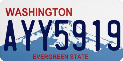 WA license plate AYY5919