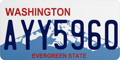 WA license plate AYY5960