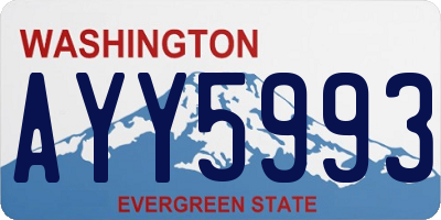 WA license plate AYY5993