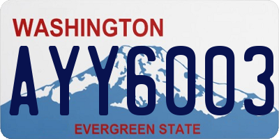 WA license plate AYY6003