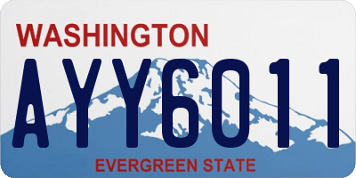 WA license plate AYY6011