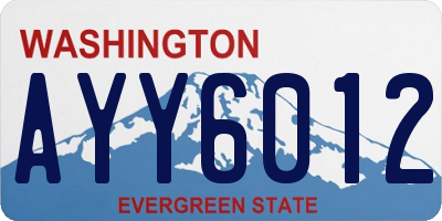 WA license plate AYY6012