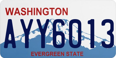 WA license plate AYY6013