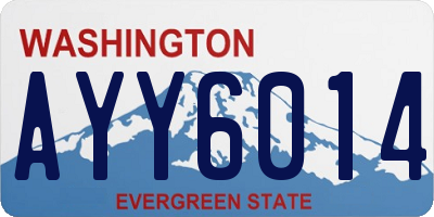 WA license plate AYY6014