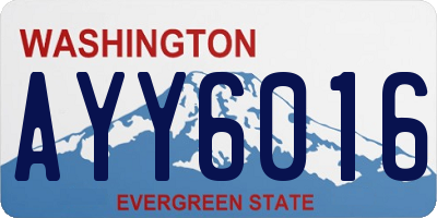 WA license plate AYY6016