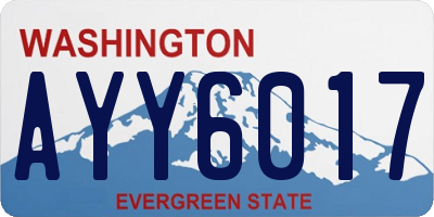 WA license plate AYY6017