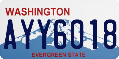 WA license plate AYY6018