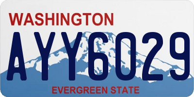 WA license plate AYY6029