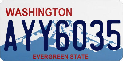 WA license plate AYY6035