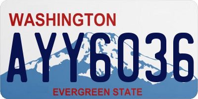 WA license plate AYY6036