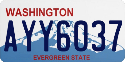 WA license plate AYY6037