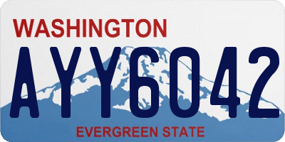 WA license plate AYY6042