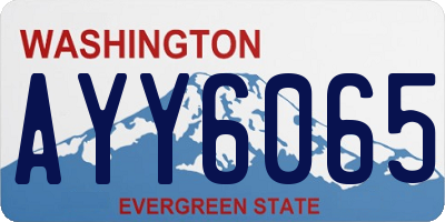 WA license plate AYY6065