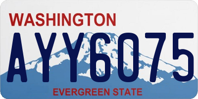 WA license plate AYY6075