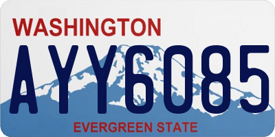 WA license plate AYY6085