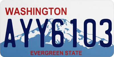 WA license plate AYY6103