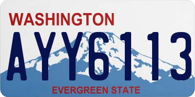 WA license plate AYY6113