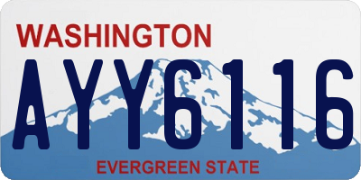 WA license plate AYY6116