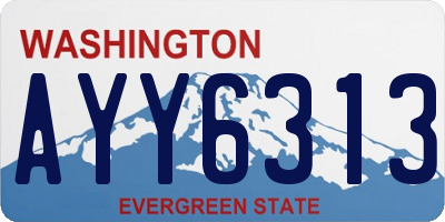 WA license plate AYY6313