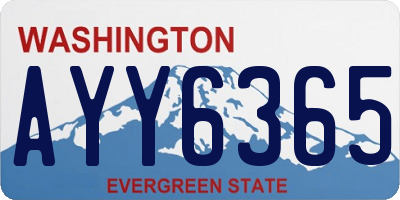 WA license plate AYY6365