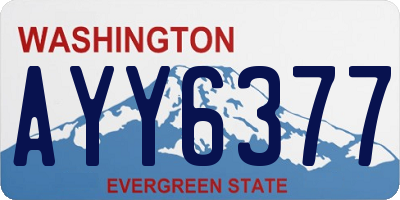 WA license plate AYY6377