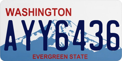 WA license plate AYY6436