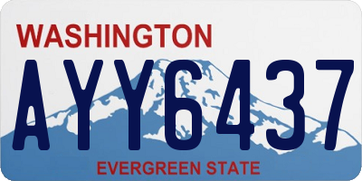 WA license plate AYY6437