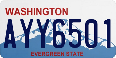 WA license plate AYY6501