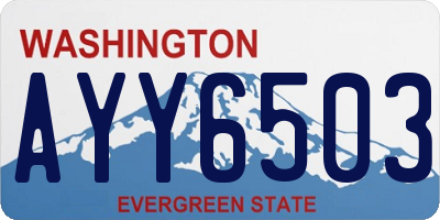 WA license plate AYY6503