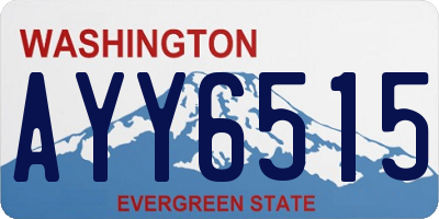 WA license plate AYY6515