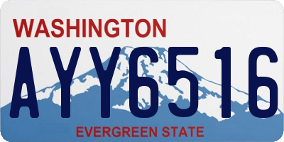 WA license plate AYY6516