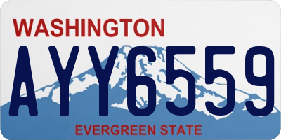 WA license plate AYY6559