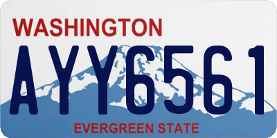 WA license plate AYY6561