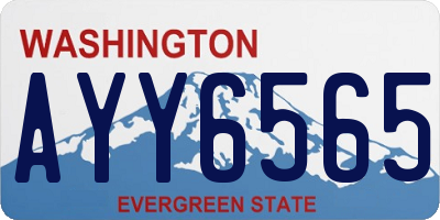 WA license plate AYY6565