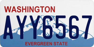 WA license plate AYY6567