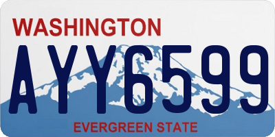 WA license plate AYY6599