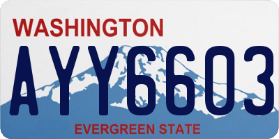 WA license plate AYY6603