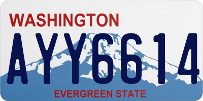 WA license plate AYY6614