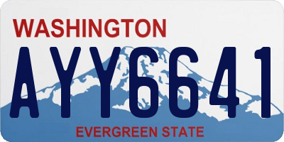 WA license plate AYY6641