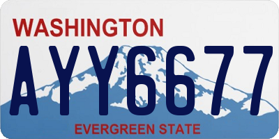 WA license plate AYY6677